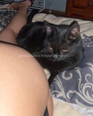 Анкета проститутки Маргарита - метро Кузьминки, возраст - 22